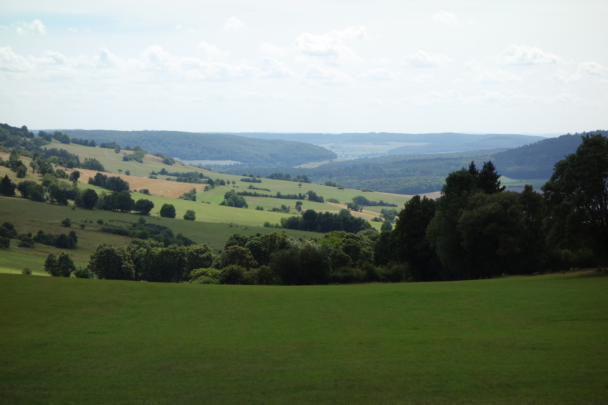 Wandern_mit_Matthias_Karwath_Hohe_Geba_-Blick_in_die_weite_Landschaft.jpg